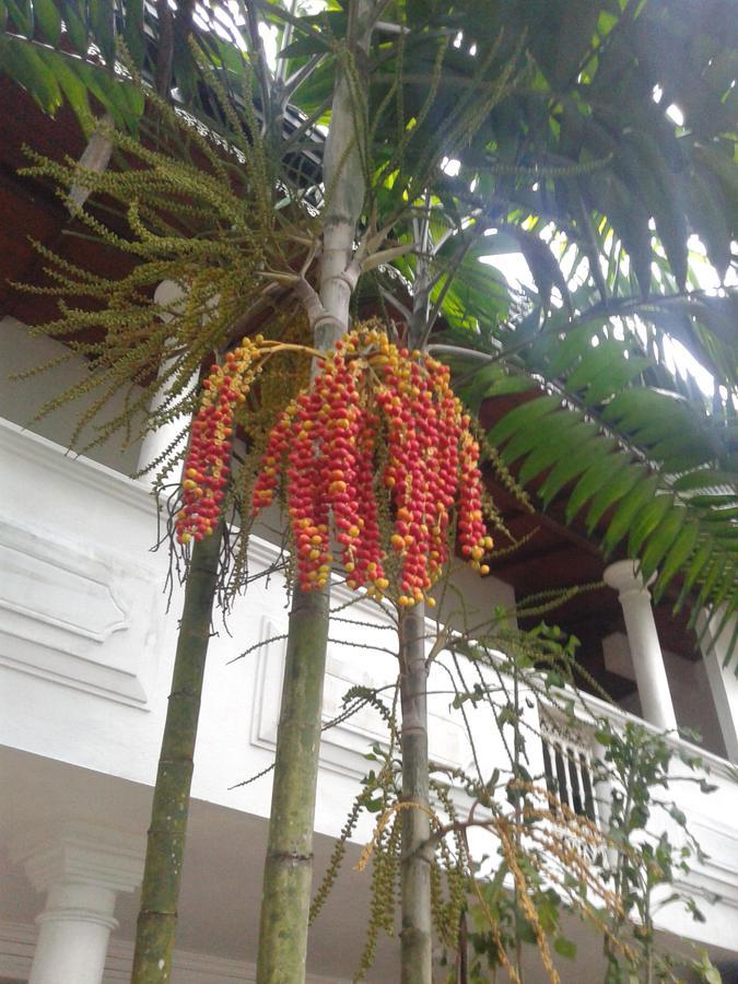 Hareesha Holiday Resort Galle Luaran gambar